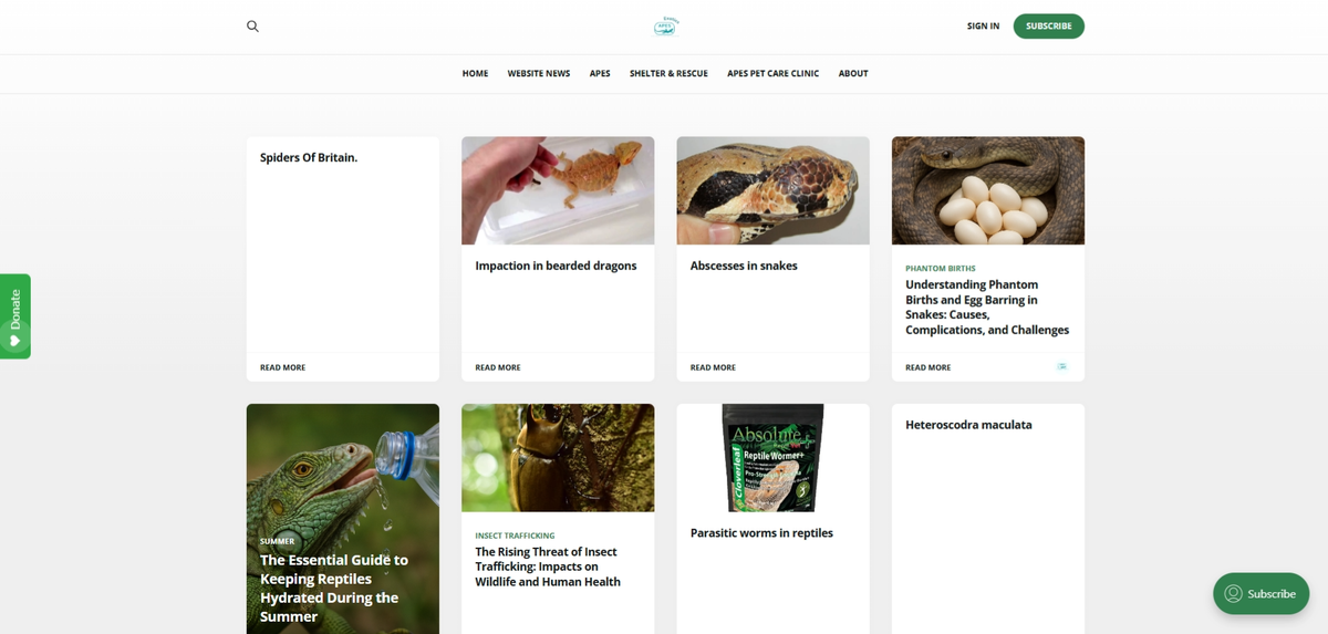 ๐ APES Exotics Magazines: A Fresh Look, New Mailing Lists & Big Plans Ahead! ๐